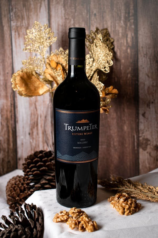 Les merveilles du vin argentin : de mendoza à votre table